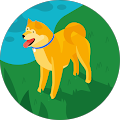 Leslie McQuiller's Profile Image
