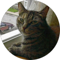 Missy G's profile image