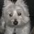 Nan Wex's profile image