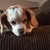 Kathy SanteiuHoltz's profile image