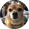 Profile Photo of Cruz Lopez