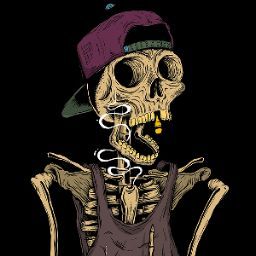 nick chagolla's profile image