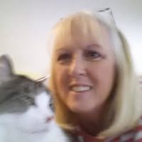 Sherry Reed's profile image