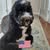 Rosebud Perez's profile image