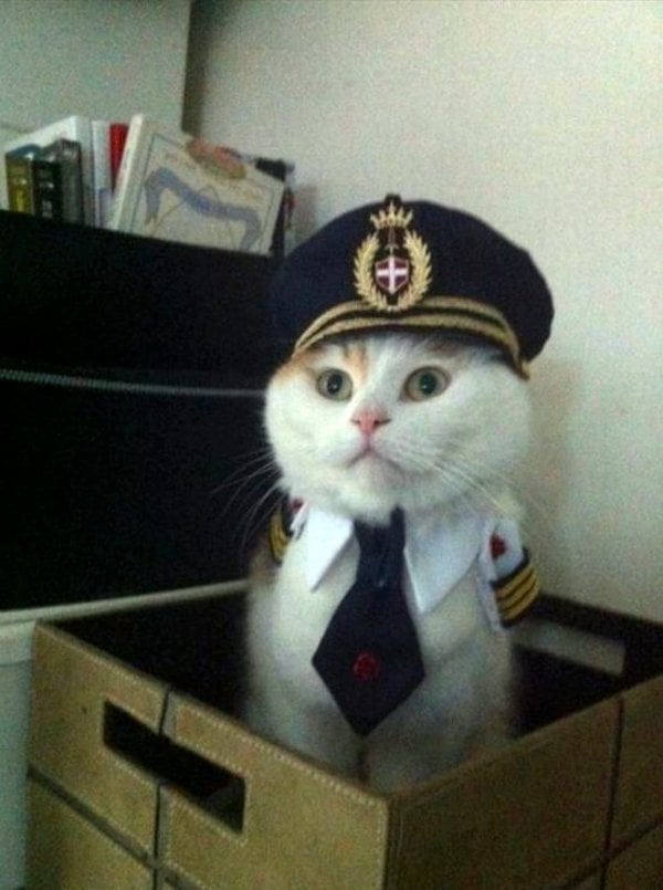 Captain C.'s profile image