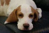 Brian L.'s profile image