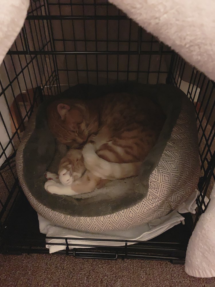 Jenny W.'s profile image