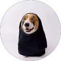 Lisa Crook's Profile Image