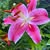 JamieAnn Howard Luttrell's profile image