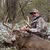 Chuck Lansford's profile image