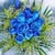 Banin Zafar's profile image