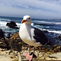 Vineet M.'s profile image
