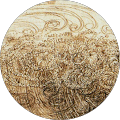 L R's profile image