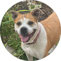 Charlette's Profile Image