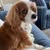 Jennifer Spering's profile image