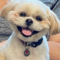 Lynda Decker's profile image