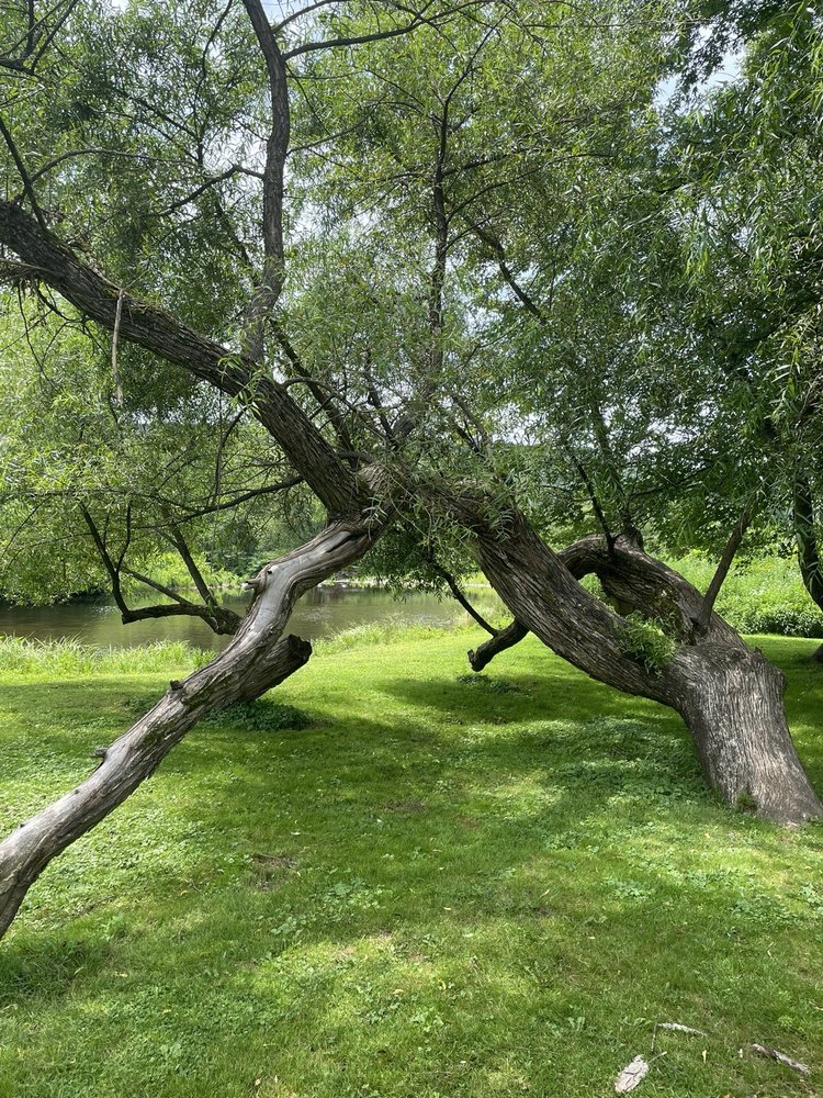 Ri A.'s profile image