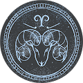 Shannon Brauner's profile image
