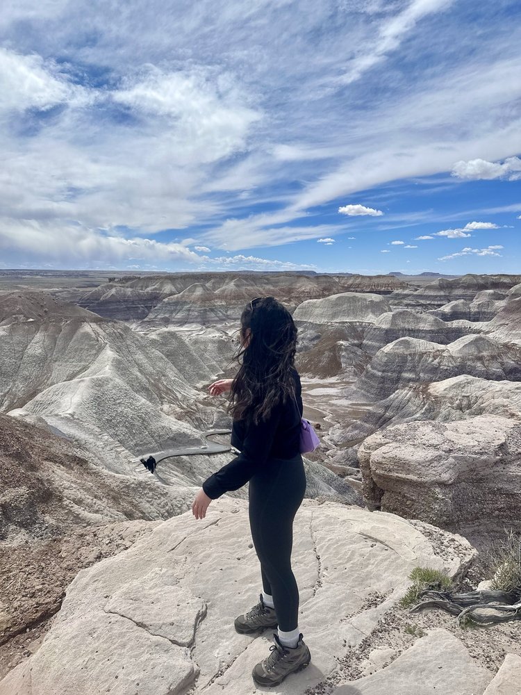 Allie T.'s profile image
