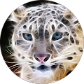 KSue Powell's Profile Image