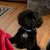 Terri Taylor Flanary's profile image