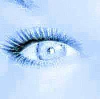 Tina Westcott's profile image