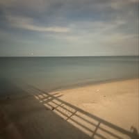 Marianella Flores's profile image