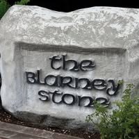 Barney Stone's profile image