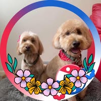 Irina Oksengorn's profile image