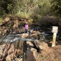 Maria Alves's profile image