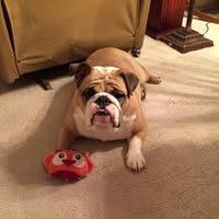 Beth Foster's profile image