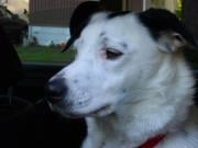 Nora N.'s profile image