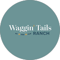 Lori Morrison (Waggin' Tails Ranch)'s Profile Image
