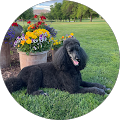 Jill Perry's Profile Image