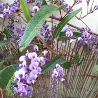 Christine Bouwmeester's profile image