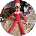 Karen Reed's Profile Image