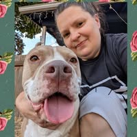 Angel Marquez's profile image