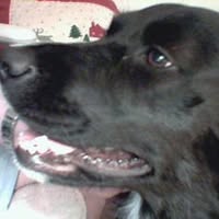 Sadie Fulks's profile image
