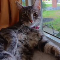 Gwen Brown's profile image