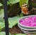 Brenda Turnes's profile image