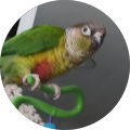 profile-photo
