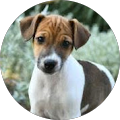 Sonnia Oberholzer's Profile Image