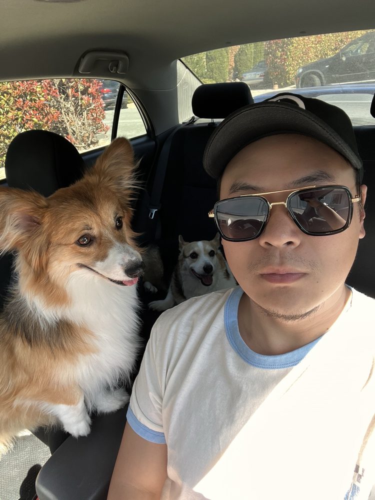Vincent L.'s profile image