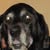 Lynn Raymond's profile image