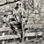 Lisa Chatfield's profile image