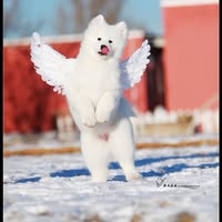 Eksee Skhwama's profile image
