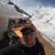 Larry Davis's profile image