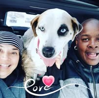 Lizzette O. Mendez Romain's profile image