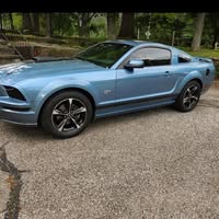 Shari Colasent's profile image