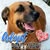Nora Leavy Smith's profile image